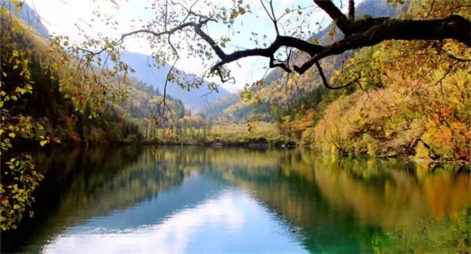 威客电竞·(中国区)VKGAME官网